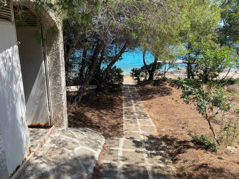 Retreat Villa By The Sea With Pool In 波多河丽 外观 照片